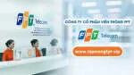 Công Ty Cổ Phần Giải Pháp Và Dịch Vụ Viễn Thông... company logo