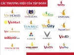 Công Ty Cổ Phần Tập Đoàn Sức Khỏe Và Vẻ Đẹp Thông... company logo