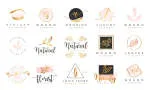 Đại Lý Mỹ Phẩm Thiên Nhiên Dita Cosmetic company logo