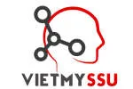 VIỆT MỸ SSU company logo