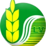 Công Ty Cổ Phần Lúa Vàng company logo