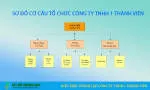 Công Ty TNHH Một Thành Viên Xuất Nhập Khẩu Phong... company logo