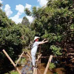 KDL Sinh Thái Cồn Sơn Miền Nam company logo