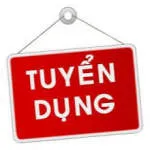Công ty TNHH The Caster City Việt Nam company logo