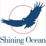 Công Ty TNHH Liên Vận Quốc Tế Shining Ocean Việt... company logo
