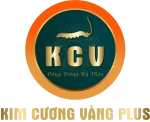 Dược Thảo Kim Cương Vàng Plus company logo