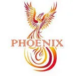 CÔNG TY CỔ PHẦN DỊCH VỤ VÀ THƯƠNG MẠI PHOENIX... company logo