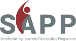 CÔNG TY CỔ PHẦN GIÁO DỤC SAPP company logo