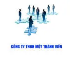 CÔNG TY TNHH MỘT THÀNH VIÊN NÔNG SẢN TRUNG HOA company logo