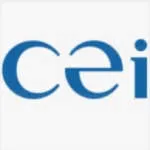 CÔNG TY TNHH CEI INTERNATIONAL INVESTMENTS (VN) company logo