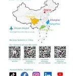 CÔNG TY TNHH DỊCH VỤ LỮ HÀNH QUỐC TÊ YING YING company logo