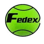 CÔNG TY TNHH ĐẦU TƯ FEDEX VIỆT NAM company logo