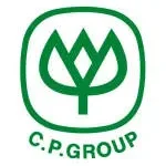 CP Giấy Vàng company logo