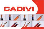 Chi Nhánh Công Ty Cổ Phần Dây Cáp Điện Việt Nam -... company logo