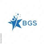 Công Ty Cổ Phần Bgs Global company logo