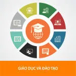 Công Ty TNHH Giáo Dục Và Thương Mại Sensei... company logo