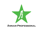 Nguyễn An Nam company logo