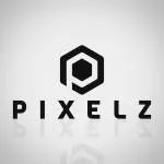 PIXELZ company logo