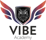 Vibe Academy company logo