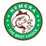 AVC HEMERA company logo