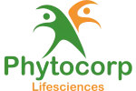 CÔNG TY CỔ PHẦN TẬP ĐOÀN Y DƯỢC PHYTOLIFE company logo