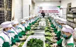 CÔNG TY CP PHÁT TRIỂN NÔNG NGHIỆP VÀ CHẾ BIẾN THỰC... company logo