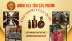 CÔNG TY TNHH SẢN XUẤT RƯỢU BÁCH HOA TỬU company logo