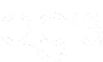 CÔNG TY TNHH TƯ VẤN ĐẦU TƯ AGIS company logo