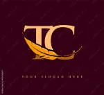 Công Ty Cổ Phần Đầu Tư T&C company logo