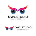 Công Ty Cổ Phần Owlink - Owl Ink Studio company logo
