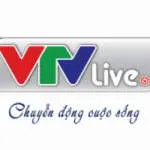 Công Ty Cổ Phần Truyền Hình Tương Tác Việt Nam company logo