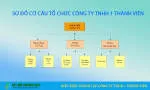 Công Ty TNHH 1 Thành Viên Việt Bắc company logo