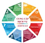 Công Ty TNHH Cung Ứng Nhân Lực Phát Nhân Tâm company logo