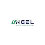 Công ty Cổ Phần Angel Việt Nam company logo