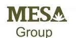 DV TM Mesa company logo