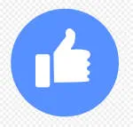 LIKE NEST company logo