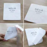Meliá Hồ Tràm company logo
