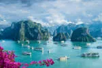 Vietnam Everok International Forwarding Company... company logo