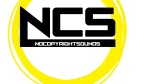 CÔNG TY TNHH NCS GLOBAL VIETNAM company logo