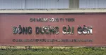 Công ty CP Dương Đông – Sài Gòn company logo