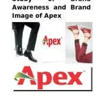 NGÀNH GIÀY APEX VIỆT NAM company logo