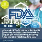 Truyền Thông và Quảng Cáo CBD Digitek company logo