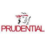BHNT PRUDENTIAL CẦN THƠ company logo