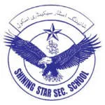 Công Ty Cổ Phần Giáo Dục Shining Star Việt Nam company logo