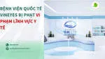 Công Ty TNHH Bệnh Viện Quốc Tế Vineyes company logo