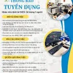 Công ty TNHH Hệ thống đào tạo Tài Năng Việt company logo