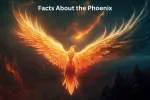 PHOENIX REALTY company logo