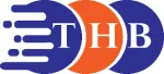 Thái Huy Bảo company logo