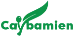 Cây Ba Miền – Caybamien.vn company logo